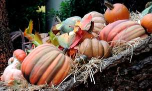 Upcoming events, October 18 - 24