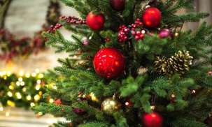 Upcoming events, January 03 - January 09