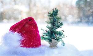 Upcoming events, December 28 - January 03